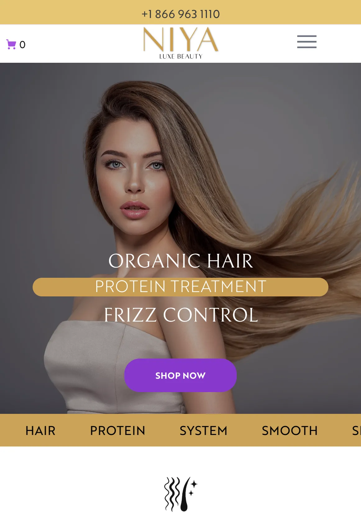 Our Expertise: Beauty Website Design & Hair Care E-Commerce Development