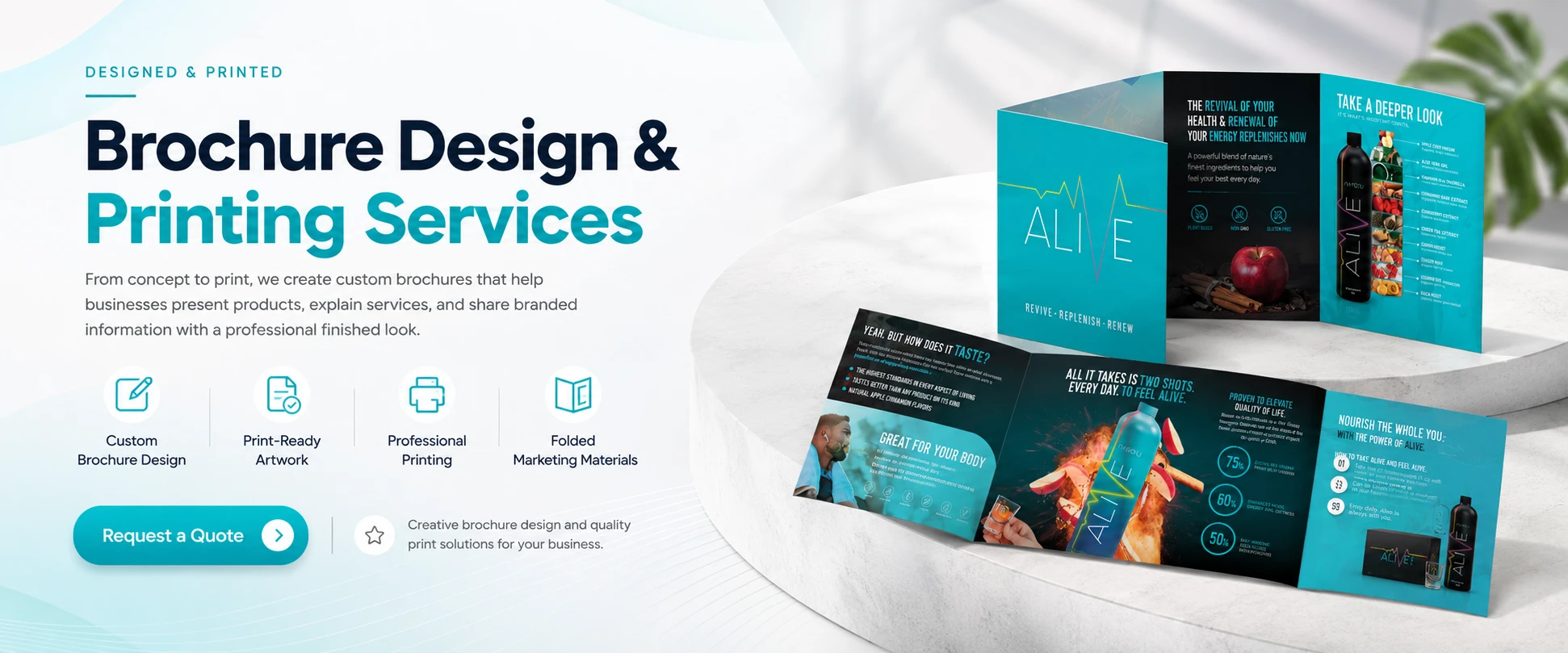 Brochure Booklet Design and Printing Top Banner